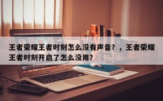 王者荣耀王者时刻怎么没有声音？，王者荣耀王者时刻开启了怎么没用？
