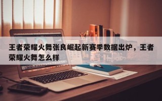 王者荣耀火舞张良崛起新赛季数据出炉，王者荣耀火舞怎么样