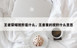 王者荣耀视野是什么，王者里的视野什么意思