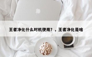 王者净化什么时机使用？，王者净化是啥