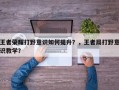 王者荣耀打野意识如何提升？，王者局打野意识教学？