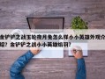 金铲铲之战玉轮夜月兔怎么样小小英雄外观介绍？金铲铲之战小小英雄焰羽？