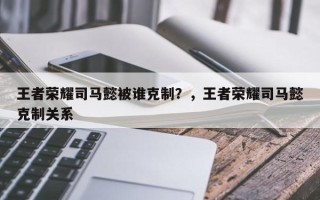 王者荣耀司马懿被谁克制？，王者荣耀司马懿克制关系