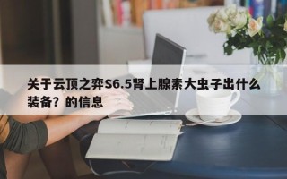 关于云顶之弈S6.5肾上腺素大虫子出什么装备？的信息