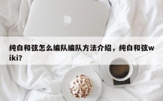 纯白和弦怎么编队编队方法介绍，纯白和弦wiki？