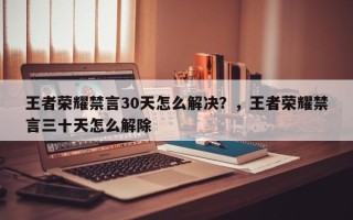 王者荣耀禁言30天怎么解决？，王者荣耀禁言三十天怎么解除