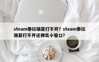 steam泰拉瑞亚打不开？steam泰拉瑞亚打不开还弹出小窗口？