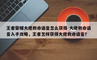 王者荣耀大佬救命语音怎么获得-大佬救命语音入手攻略，王者怎样获得大佬救命语音？