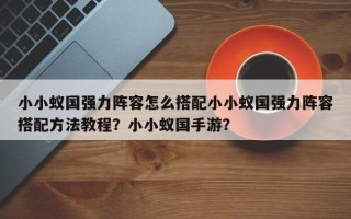 小小蚁国强力阵容怎么搭配小小蚁国强力阵容搭配方法教程？小小蚁国手游？