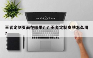 王者定制页面在哪里？？王者定制皮肤怎么用？