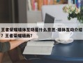 王者荣耀墙体互动是什么意思-墙体互动介绍？王者荣耀墙画？