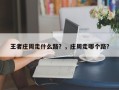 王者庄周走什么路？，庄周走哪个路？