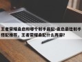 王者荣耀桑启和哪个射手最配-桑启最佳射手搭配推荐，王者荣耀桑配什么阵容？
