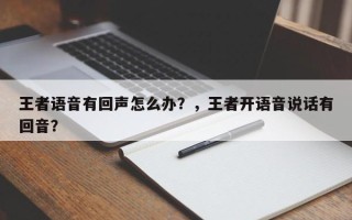 王者语音有回声怎么办？，王者开语音说话有回音？