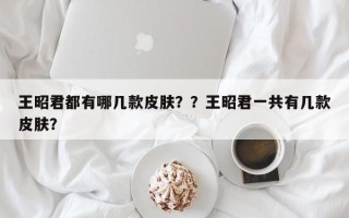 王昭君都有哪几款皮肤？？王昭君一共有几款皮肤？