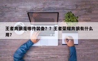 王者奔狼是哪件装备？？王者荣耀奔狼有什么用？
