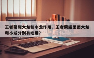 王者荣耀大龙和小龙作用，王者荣耀里面大龙和小龙分别有啥用？