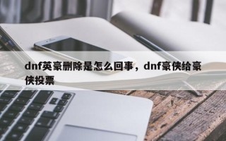 dnf英豪删除是怎么回事，dnf豪侠给豪侠投票