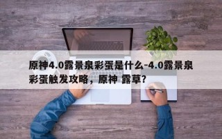 原神4.0露景泉彩蛋是什么-4.0露景泉彩蛋触发攻略，原神 露草？