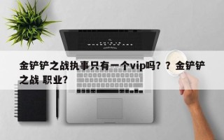 金铲铲之战执事只有一个vip吗？？金铲铲之战 职业？