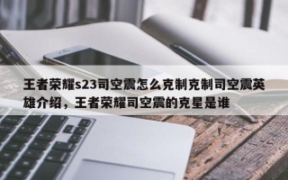王者荣耀s23司空震怎么克制克制司空震英雄介绍，王者荣耀司空震的克星是谁