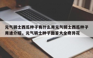 元气骑士西瓜种子有什么用元气骑士西瓜种子用途介绍，元气骑士种子图鉴大全奇异花
