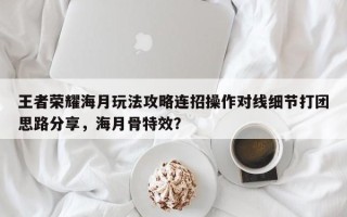 王者荣耀海月玩法攻略连招操作对线细节打团思路分享，海月骨特效？