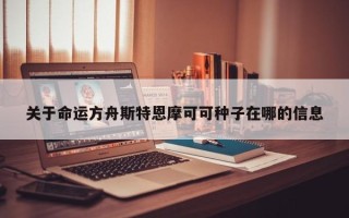 关于命运方舟斯特恩摩可可种子在哪的信息