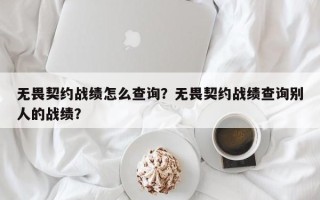 无畏契约战绩怎么查询？无畏契约战绩查询别人的战绩？