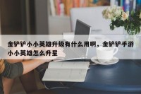 金铲铲小小英雄升级有什么用啊，金铲铲手游小小英雄怎么升星
