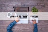 关于什么是“打野”？的信息