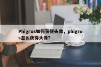 Phigros如何获得头像，phigros怎么获得头像？
