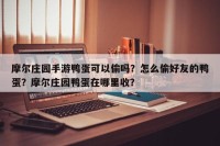摩尔庄园手游鸭蛋可以偷吗？怎么偷好友的鸭蛋？摩尔庄园鸭蛋在哪里收？