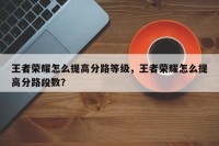 王者荣耀怎么提高分路等级，王者荣耀怎么提高分路段数？