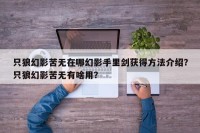 只狼幻影苦无在哪幻影手里剑获得方法介绍？只狼幻影苦无有啥用？