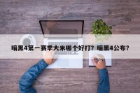 暗黑4第一赛季大米哪个好打？暗黑4公布？