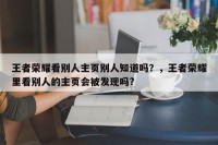 王者荣耀看别人主页别人知道吗？，王者荣耀里看别人的主页会被发现吗?
