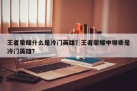 王者荣耀什么是冷门英雄？王者荣耀中哪些是冷门英雄？