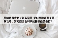 梦幻西游舍利子怎么获得-梦幻西游舍利子获取攻略，梦幻西游舍利子能往哪些装备打？