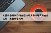 太吾绘卷真气作用介绍攻略太吾绘卷真气有什么用？太吾绘卷真红？