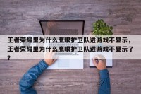 王者荣耀里为什么鹰眼护卫队进游戏不显示，王者荣耀里为什么鹰眼护卫队进游戏不显示了？