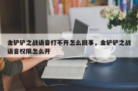 金铲铲之战语音打不开怎么回事，金铲铲之战语音权限怎么开