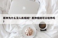 原神为什么没人练烟绯？原神烟绯可以培养吗？