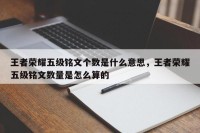 王者荣耀五级铭文个数是什么意思，王者荣耀五级铭文数量是怎么算的