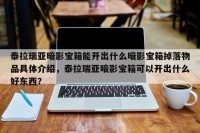 泰拉瑞亚暗影宝箱能开出什么暗影宝箱掉落物品具体介绍，泰拉瑞亚暗影宝箱可以开出什么好东西？