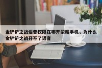 金铲铲之战语音权限在哪开荣耀手机，为什么金铲铲之战开不了语音