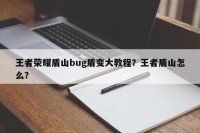 王者荣耀盾山bug盾变大教程？王者盾山怎么？