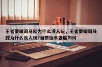 王者荣耀司马懿为什么没人玩，王者荣耀司马懿为什么没人玩?当前版本强度如何