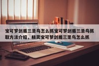 宝可梦剑盾三圣鸟怎么抓宝可梦剑盾三圣鸟抓取方法介绍，精灵宝可梦剑盾三圣鸟怎么抓