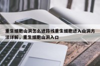 重生细胞山洞怎么进路线重生细胞进入山洞方法详解，重生细胞山洞入口